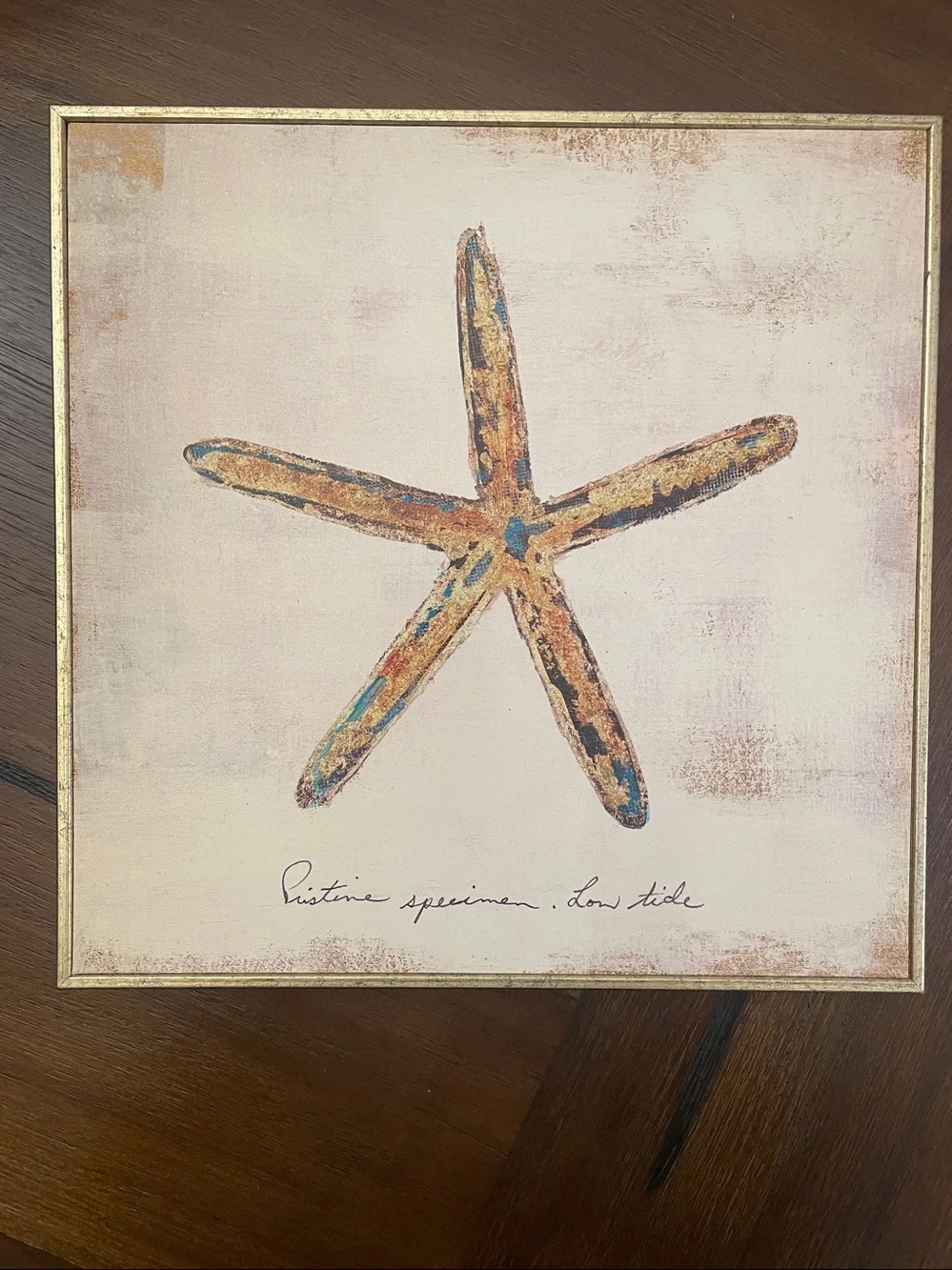 Pier 1 Starfish Glicee Framed Art